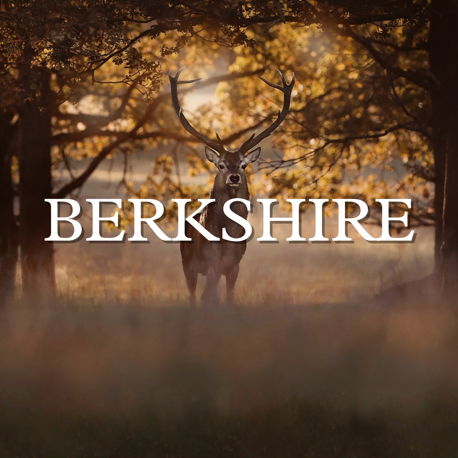 Berkshire